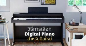 วิธีการเลือก Digital Piano สำหรับมือใหม่
