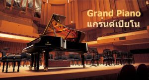 เรียนเปียโนด้วยตัวเอง Yamaha Grand Piano