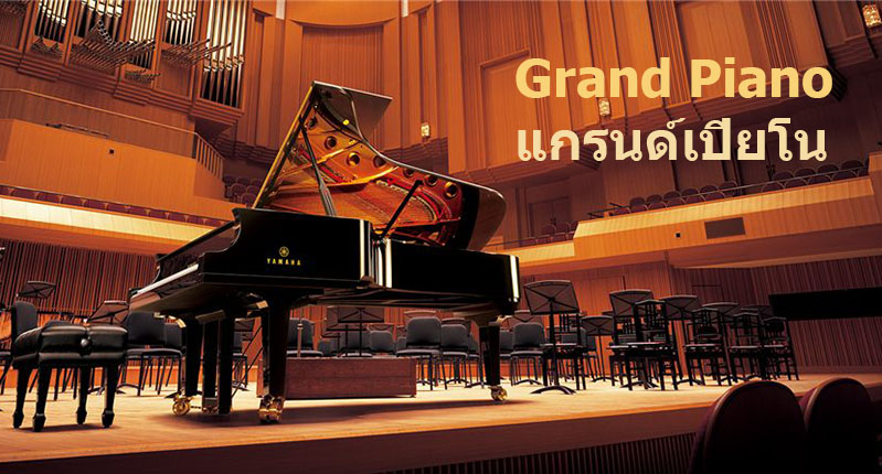 เรียนเปียโนด้วยตัวเอง Yamaha Grand Piano